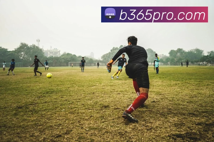 Bet365体育全站App